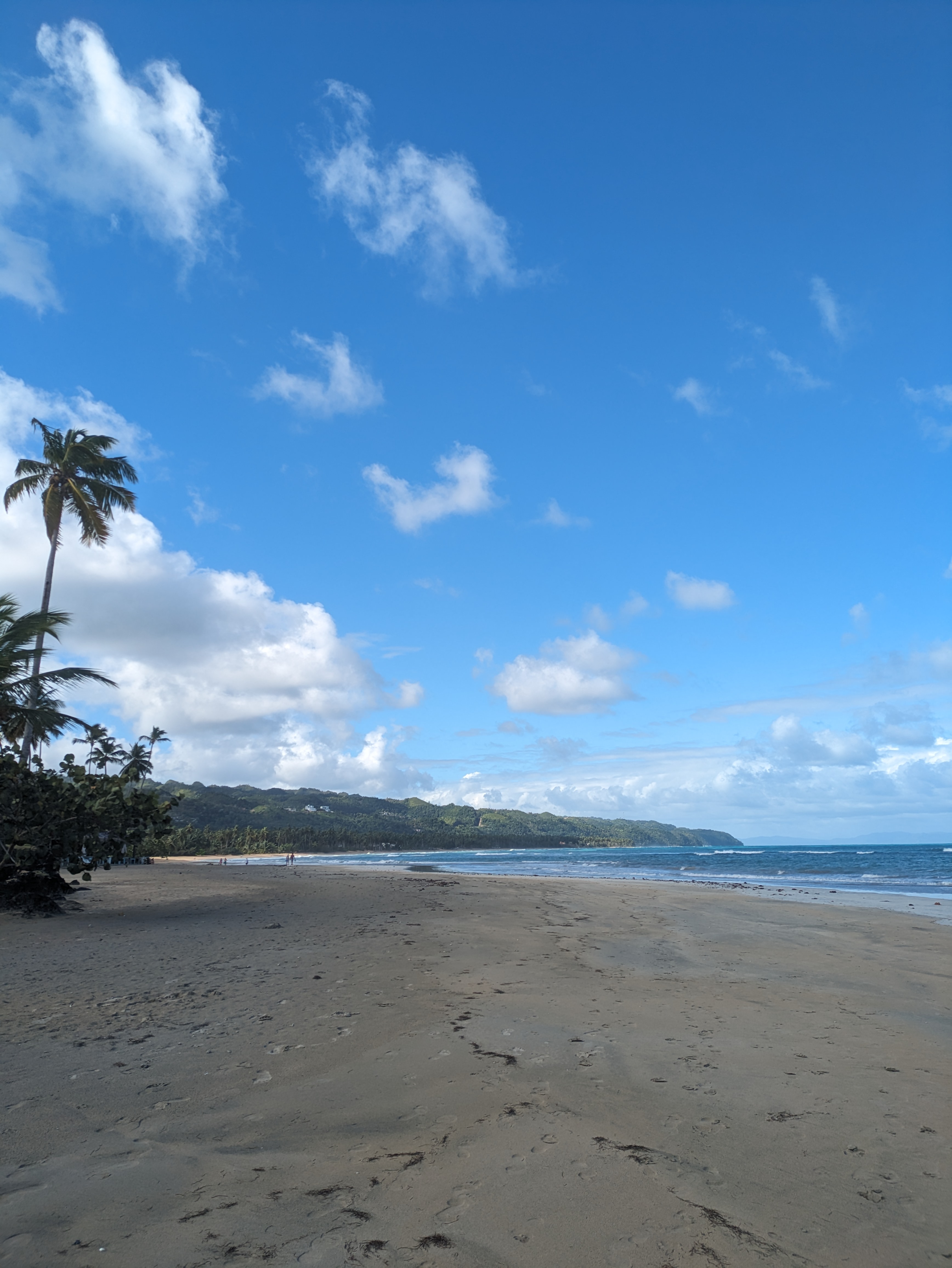 Caribbean picture 1